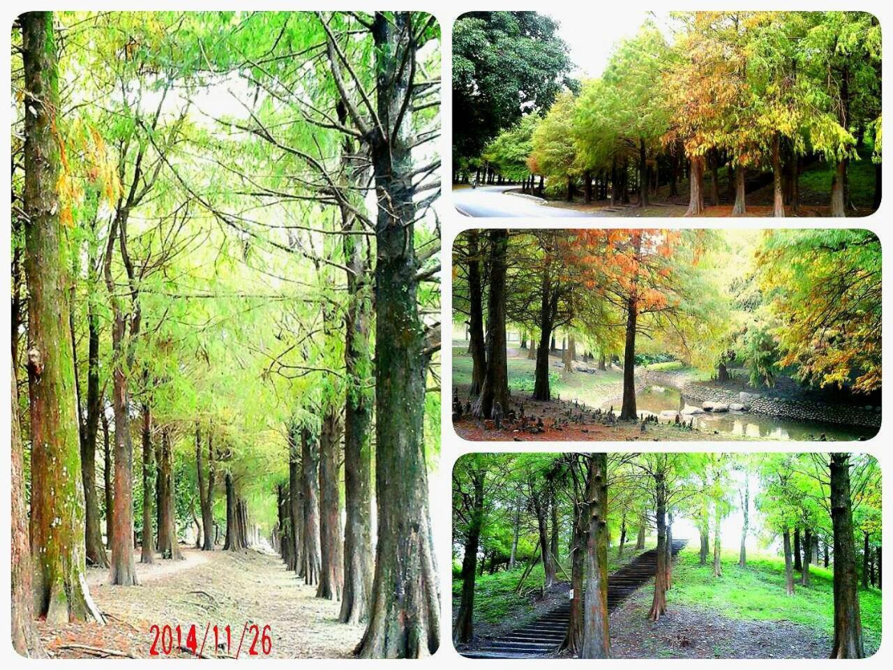 公園 B&B Luodong Extérieur photo